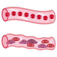 「血行」の画像検索結果