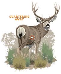Bowhunting How To Where To Aim On A Whitetail Deer
