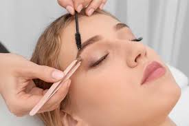 definition brows course the