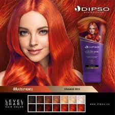 dipso super shine hair color wax ด ฟโซ