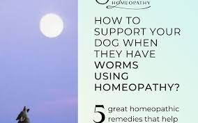 five homeopathic remes for worms of