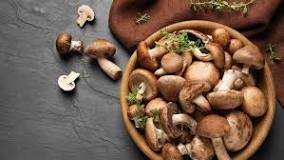 What happens if you eat old mushrooms?
