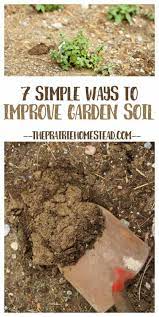 7 simple ways to improve garden soil