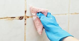 Removing Mould