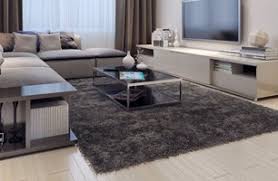 basic carpet care carpet cleaning in