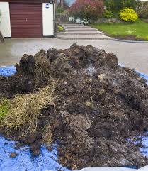 9 fascinating facts about horse manure