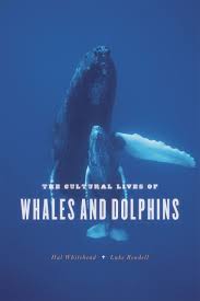 The Cultural Lives Of Whales And Dolphins Whitehead Rendell