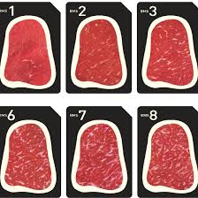 Beef Marbling Standard Bms Used For The Estimation Of