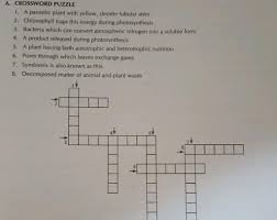 crossword puzzles in plant in nutrition