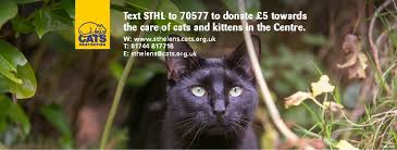 Kitten ads has hundreds of cats for sale across the uk. Cats Protection St Helens Adoption Centre Home Facebook