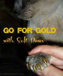 soft claws review giveaway cat