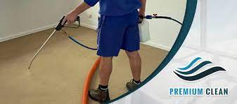 the 9 best carpet cleaning services in