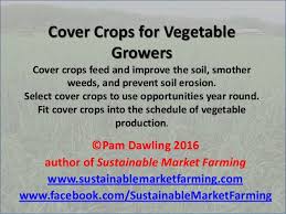 Cover Crops For Vegetable Growers Pam Dawling