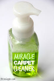 miracle carpet cleaner bitz giggles