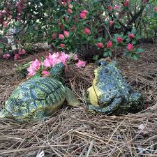Turtle And Bullfrog Combo Pack
