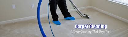carpet cleaning centennial hills pro