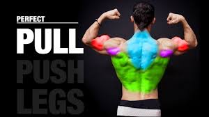 push pull legs routine pros and