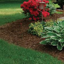 use mulch to manage your soil