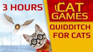 cat games 3 hours quidditch for cats