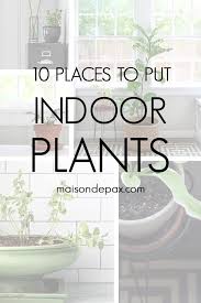 10 places to put indoor plants maison