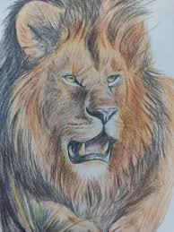 colour paper lion sketch size a4 at