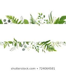 File formats include gif, jpg, pdf, and png. Leaf Borders Free Leaf Borders Png Transparent Images 50901 Pngio