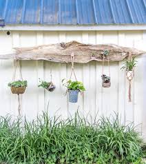 driftwood ideas for garden and backyard