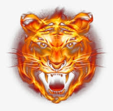 tiger fire fierce png free