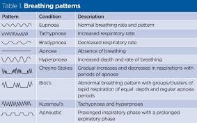 Respiratory Rate 4 Breathing Rhythm And Chest Movement