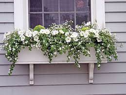 Check spelling or type a new query. Window Box Ideas Hyannis Country Garden Window Box Flowers Window Box Window Boxes