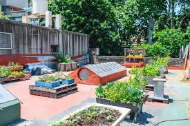 Plants For Rooftop Gardens A Complete