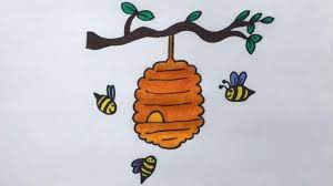how to draw a bee hive you