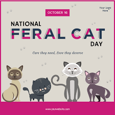 1920x1080 cat pc wallpaper free resolution: Pink National Feral Cat Day Instagram Post 1080x1080 Px Wofox