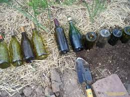 recycle wine bottles with a garden