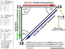 Classifying Non Hodgkin Lymphoma Nhl Can Be Quite