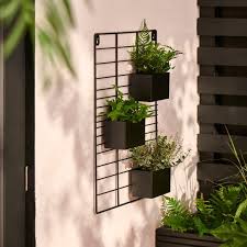Plant Wall In Your Garden