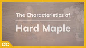 characteristics of hard maple wood