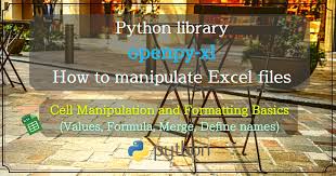 python excel manite cell in