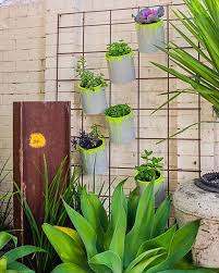 Diy Indoor Garden Ideas To Add Greenery