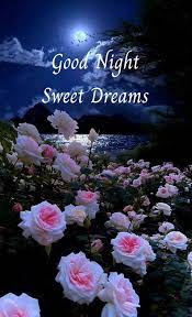 Pin by à¸§à¸±à¸à¸§à¸´à¸ªà¸²à¸à¹ à¸à¸£ on Beautiful​ night​ | Good night  sweet dreams, Happy good night, Good morning images flowers