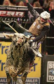 an intense bull riding