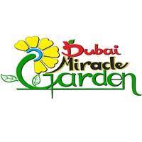 dubai miracle garden offers 50 off