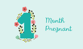 It represents a single entity, the unit of counting or measurement. 1 Month Pregnant Symptoms And Fetal Development Pampers