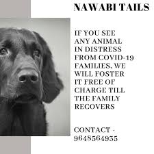 Get notified receive an email alert when additional puppies are added. Nawabi Tails Sector 14 Indira Nagar Lucknow 2021