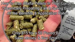 how to use alfalfa pellets in your fall