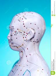 Meridian Head Acupuncture Points Stock Photo Image Of