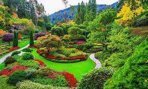 enchanting butchart gardens in victoria