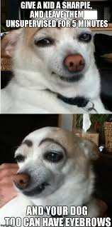 dog makeup memes gifs flip