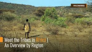meet the tribes in africa an overview