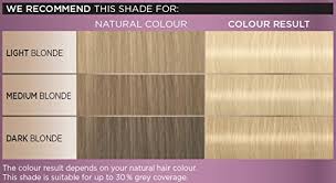 Schwarzkopf Color Expert Permanent Hair Dye 10 2 Light Cool Blonde 1 Application
